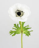 Real Touch White Anemone 17.5” - 3