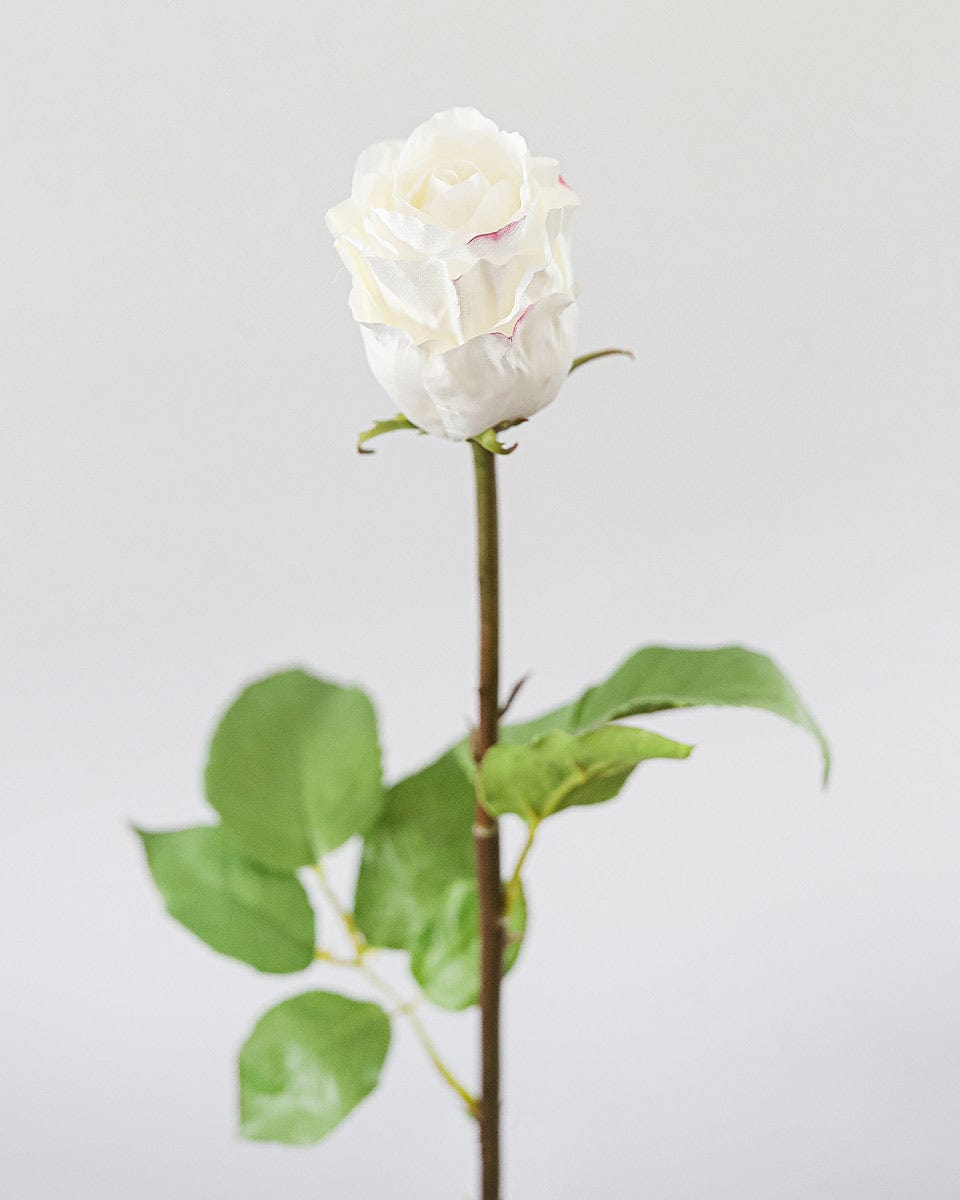 White Dutchess Rose Bud 23" - 3