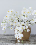 White Flowering Phalaenopsis Orchid 34" - 3