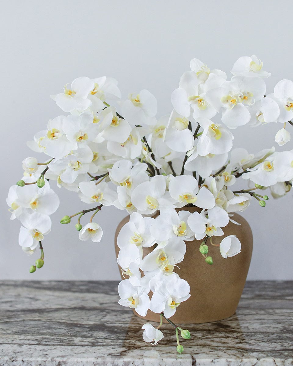 White Flowering Phalaenopsis Orchid 34" - 3