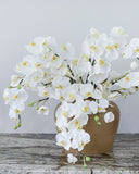 White Flowering Phalaenopsis Orchid 34" - 3