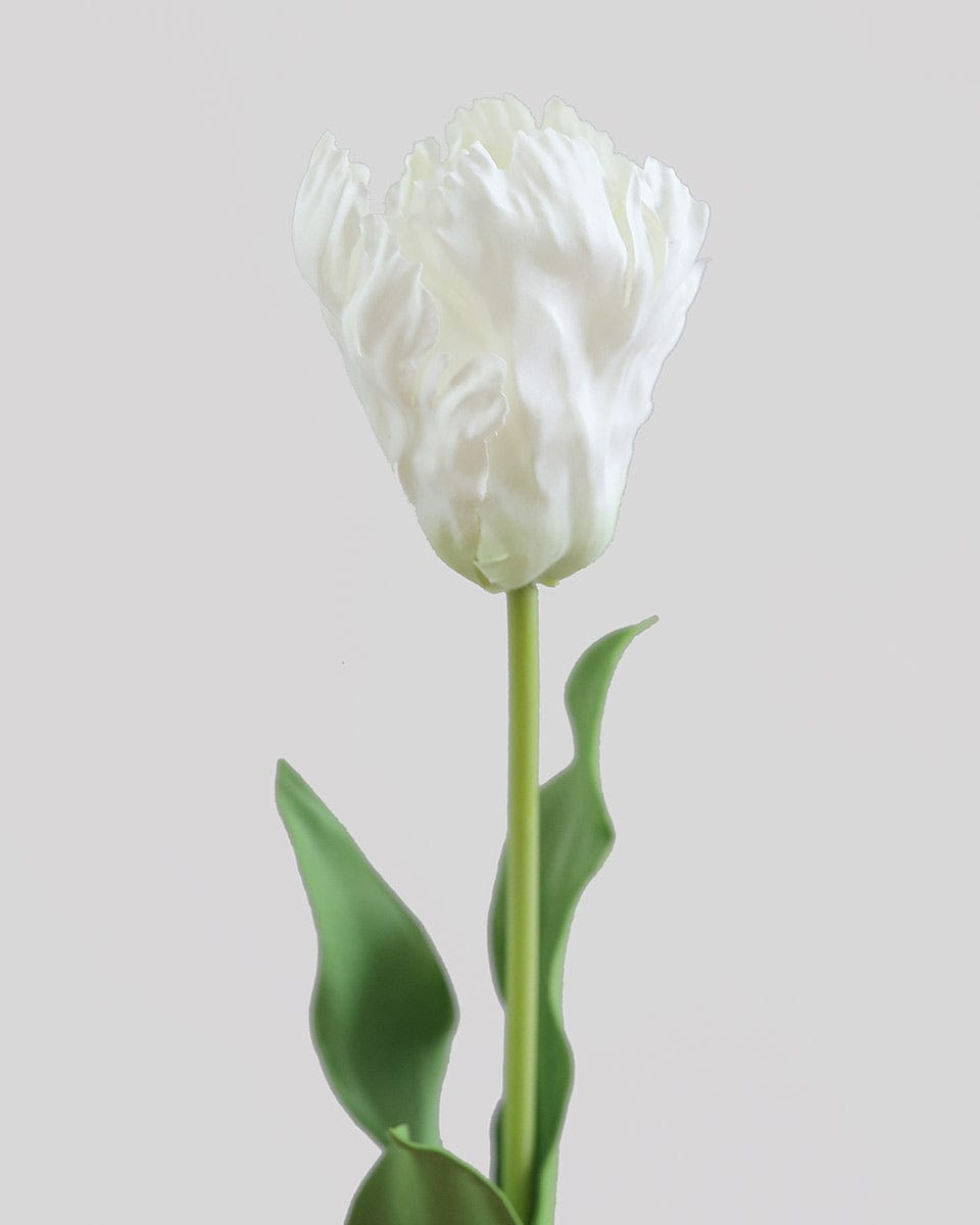 Real Touch White Parrot Tulip 27” - 3