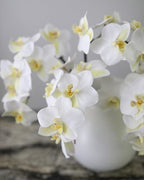 White Orchid Phalaenopsis 23" - 3