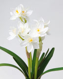 Real Touch White Narcissus 13” - 3
