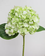 Real Touch Green Hydrangea 18" - 3