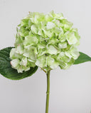 Real Touch Green Hydrangea 18" - 3