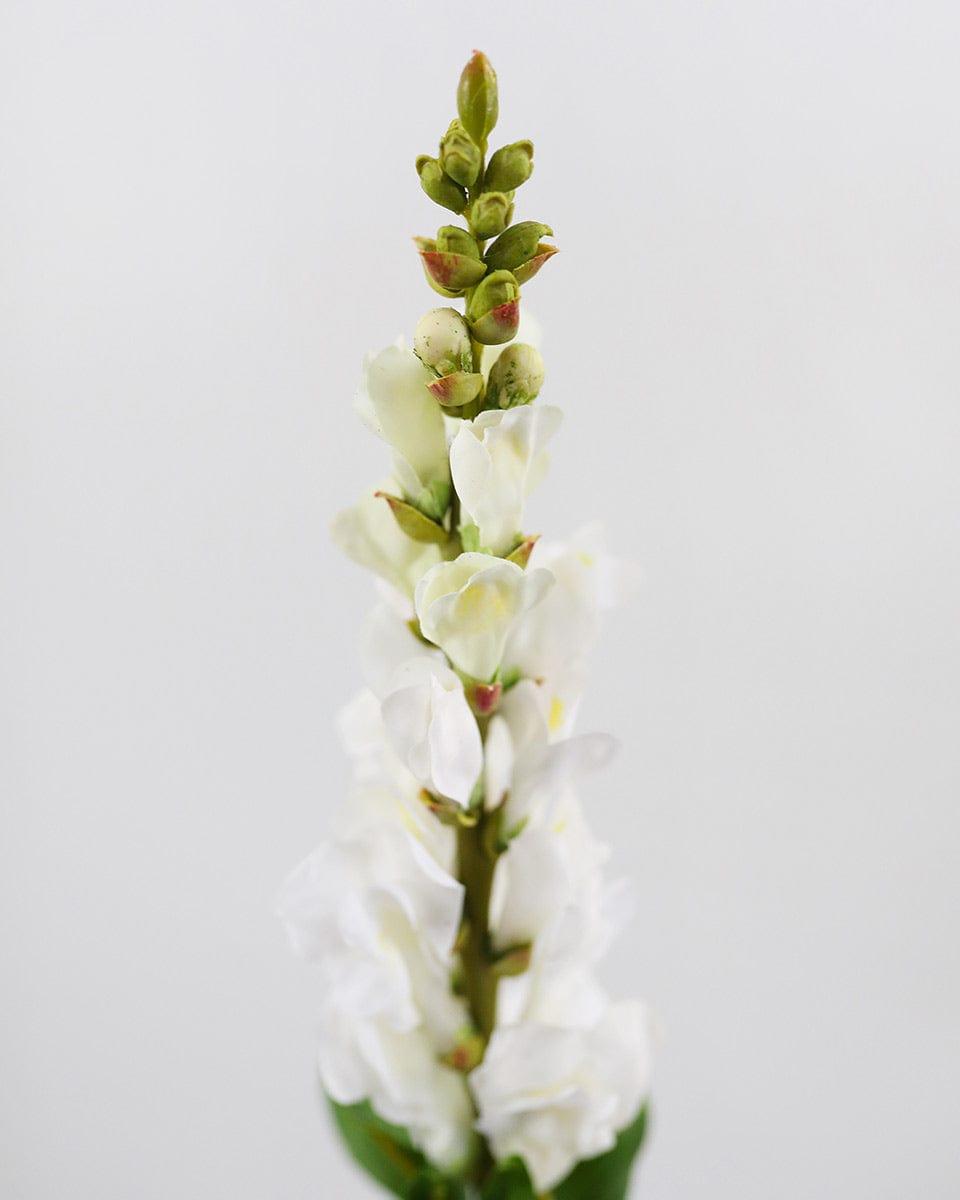 Real Touch Cream White Snapdragon 23” - 3