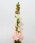 Real Touch Pink Snapdragon 23” - 3