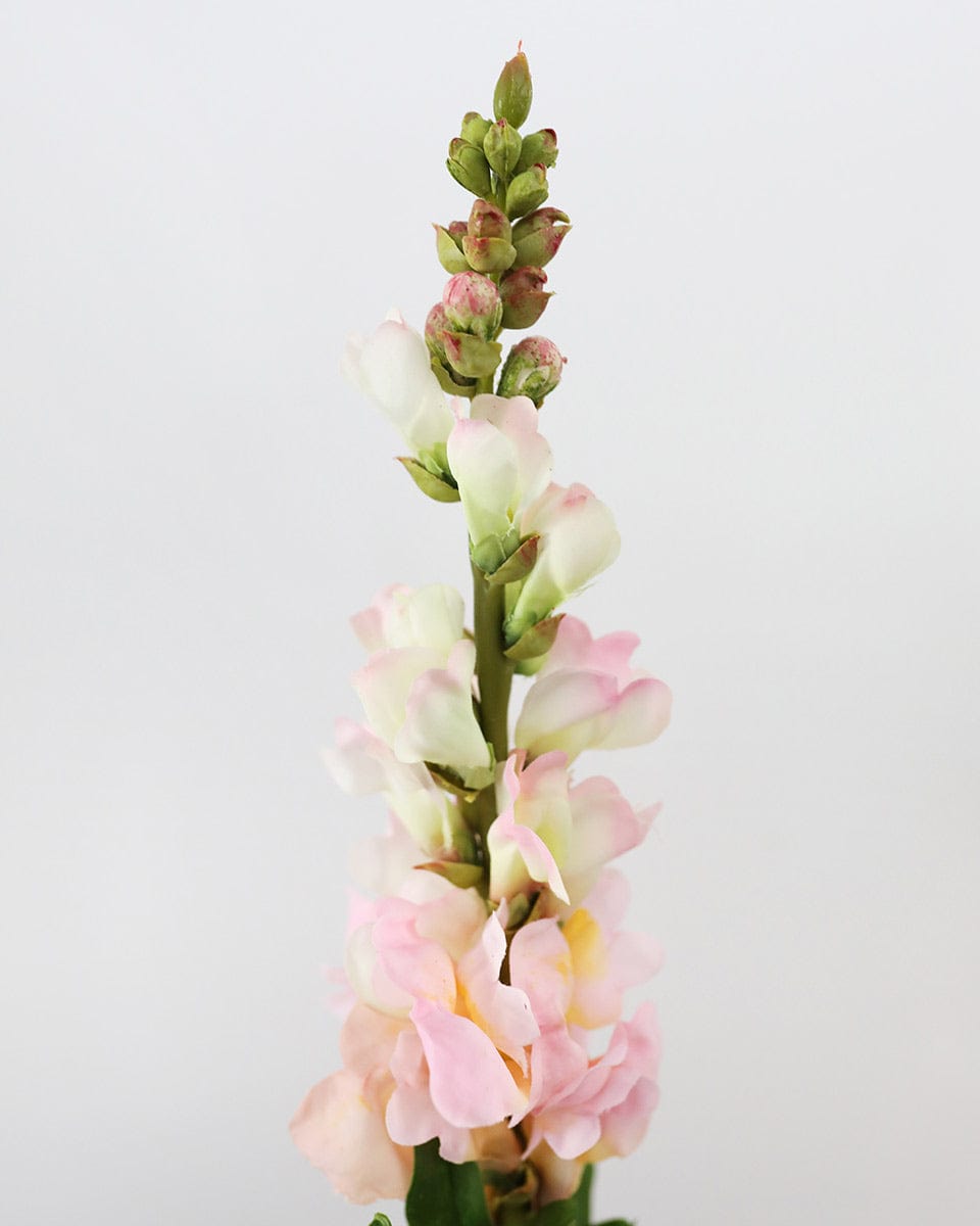 Real Touch Pink Snapdragon 23” - 3