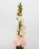 Real Touch Pink Snapdragon 23” - 3