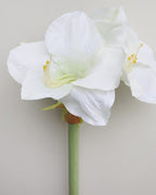 White Artificial Amaryllis 19.5” - 3