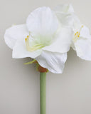 White Artificial Amaryllis 19.5” - 3
