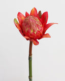 Faux Red Orange Waratah Protea 16.5” - 3