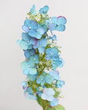 Blue Butterfly Hydrangea Flower 32” - 3