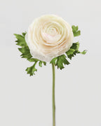 Cream Silk Ranunculus 21” - 3