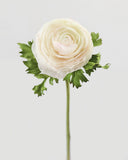 Cream Silk Ranunculus 21” - 3