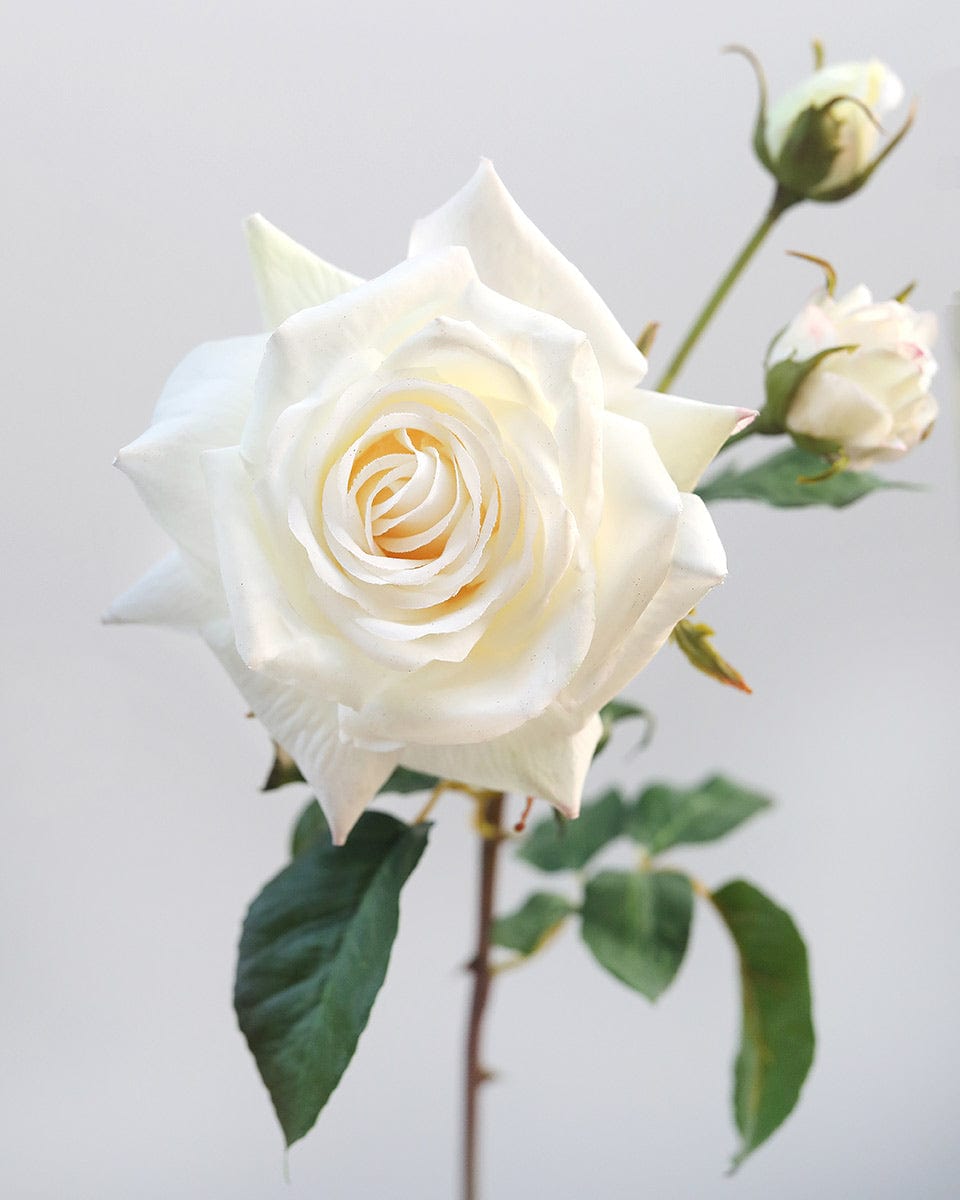 Real Touch Prestige White Rose 22” - 3