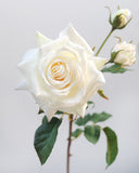 Real Touch Prestige White Rose 22” - 3