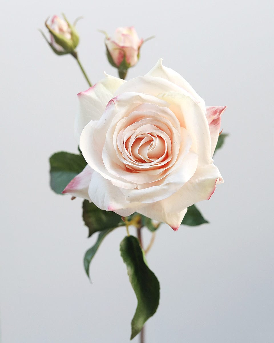 Real Touch Prestige Pink Rose 22” - 3