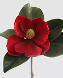 Crimson Red Magnolia 24" - 3