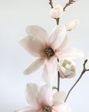 Blush Magnolia Blossom Branch 35" - 3