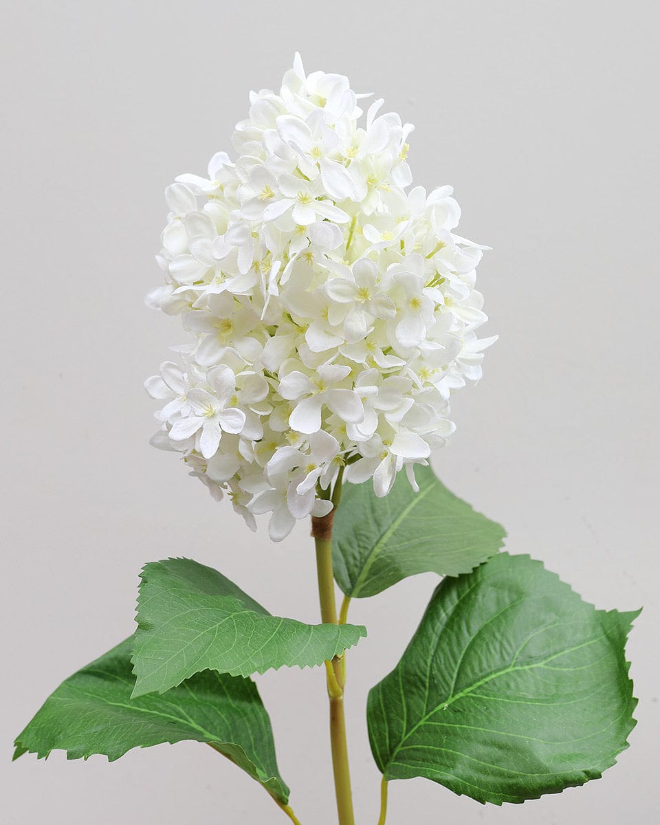 Cream White Cone Hydrangea 35.5" Secondary image