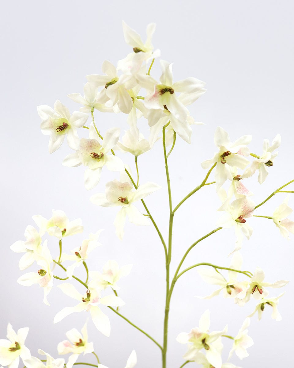 Dancing Oncidium Orchid 46.5" - 3