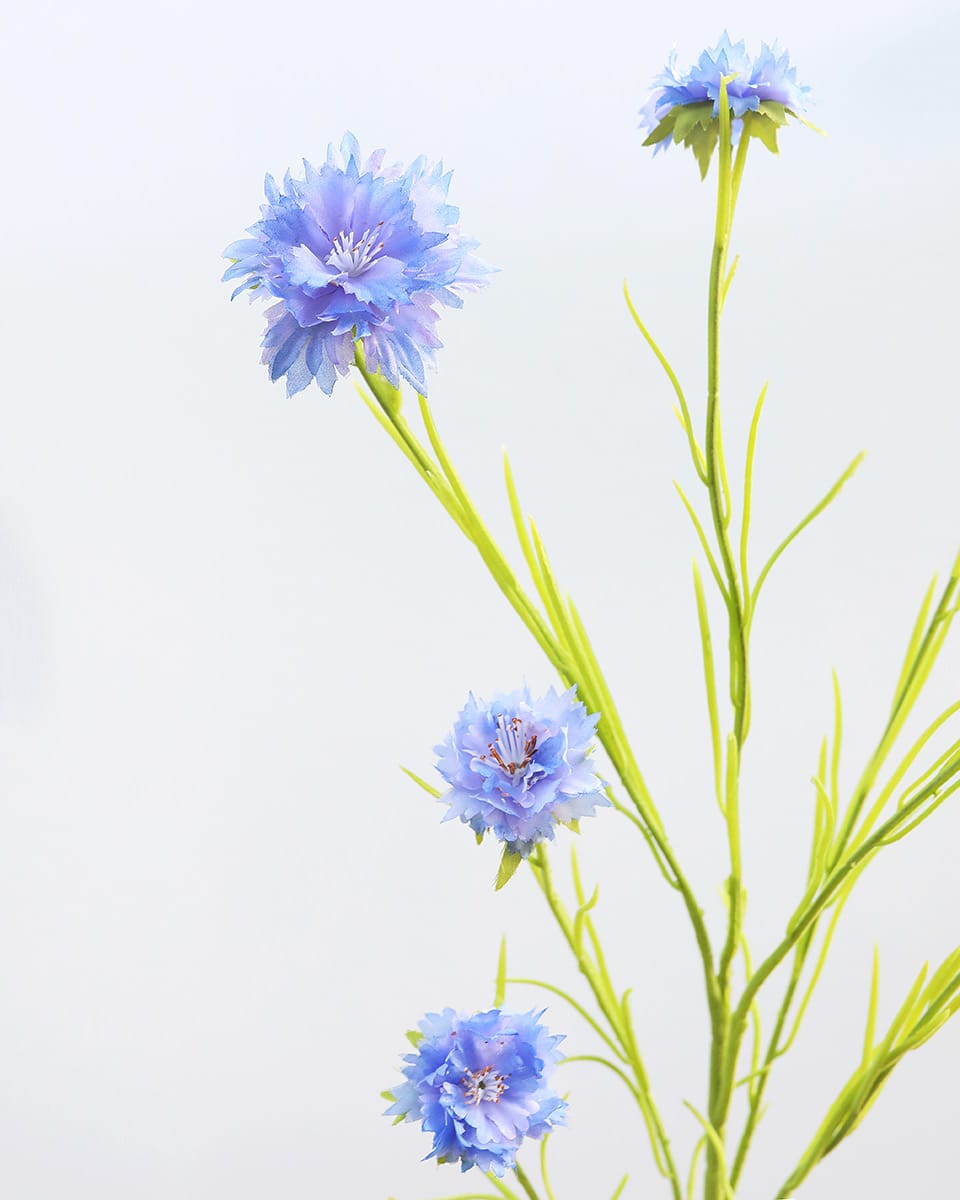Blue Silk Cornflower 36" - 3