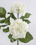 White Double Hydrangea 36" - 3