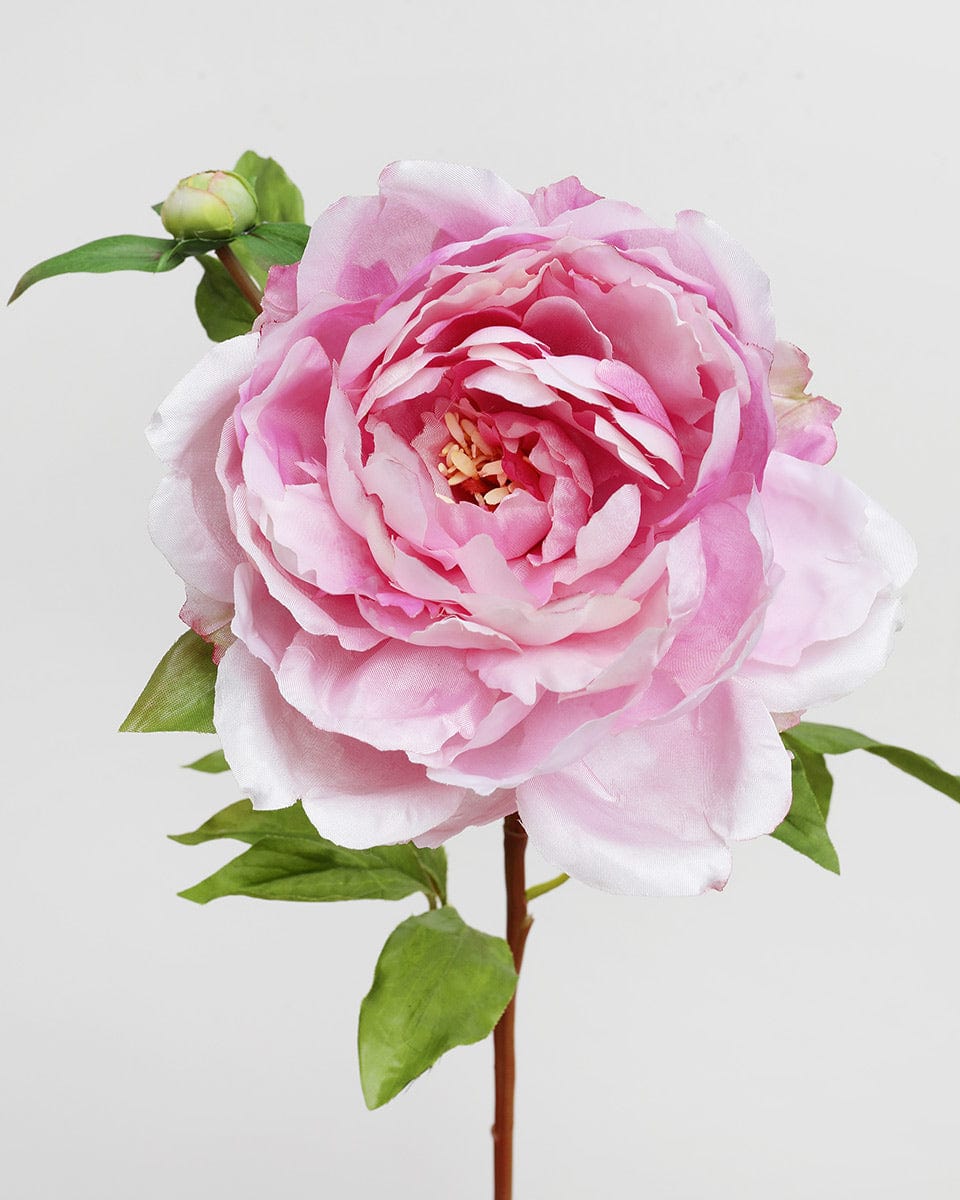 Pink Faux Peony 19.5" - 3