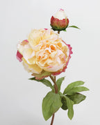 Yellow Peony 19.5" - 3