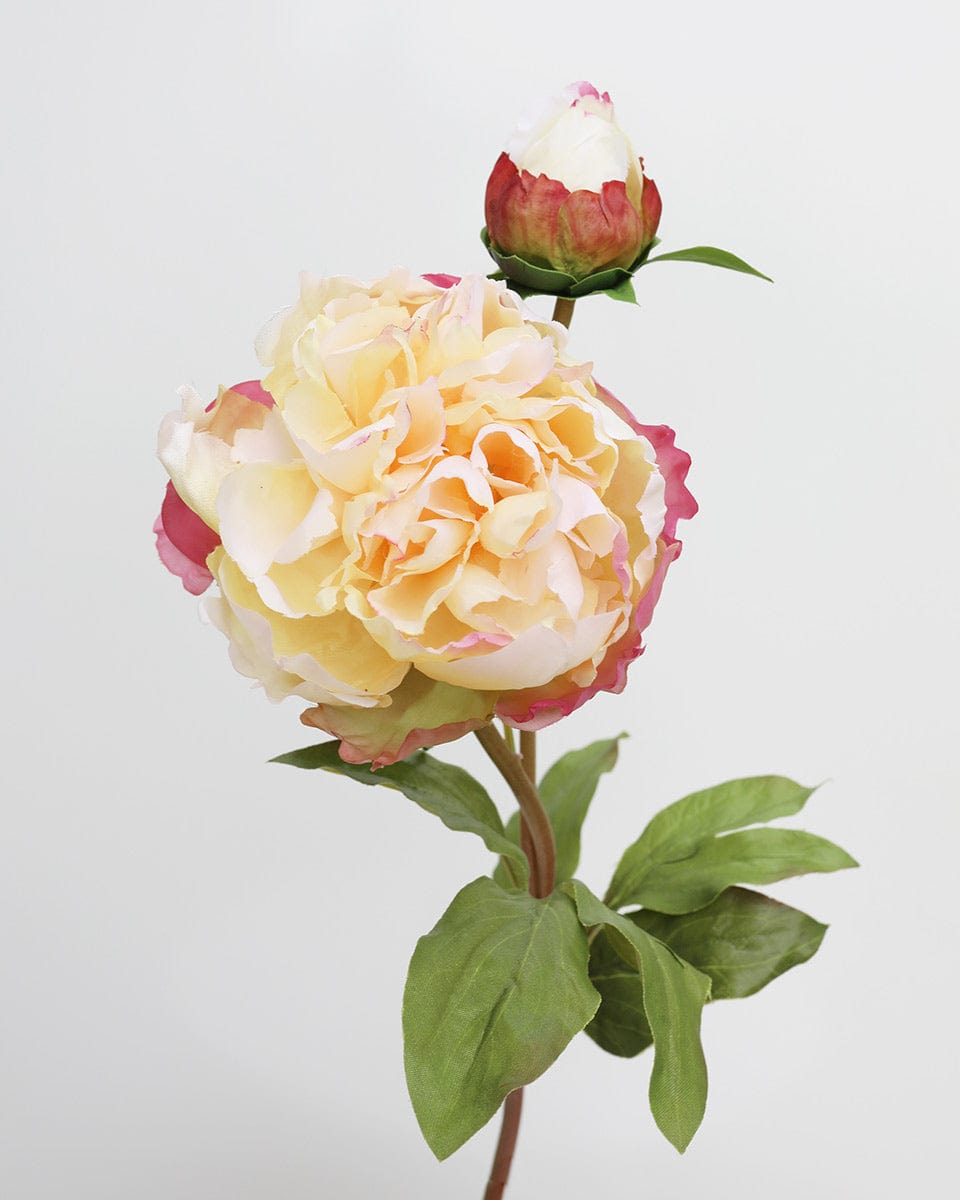 Yellow Peony 19.5" - 3