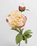 Yellow Peony 19.5" - 3