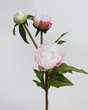 White and Pink Peony Spray 19" - 3