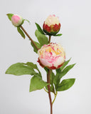 Soft Yellow Peony 19" - 3