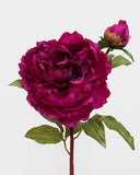 Faux Deep Pink Peony 20" - 3