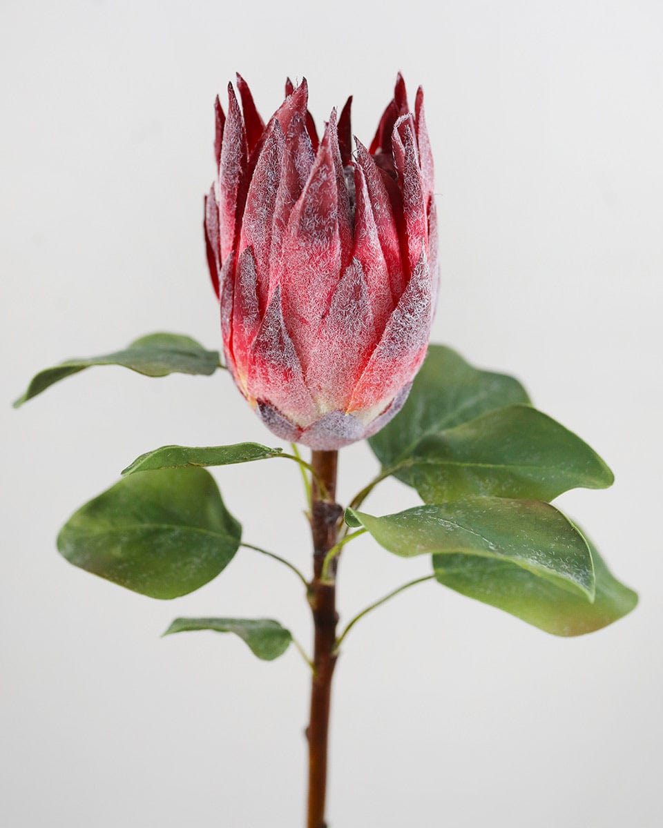 Burgundy Faux King Protea 23.5" - 3