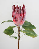 Burgundy Faux King Protea 23.5" - 3