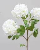Premium Cream Snowball 33" - 3