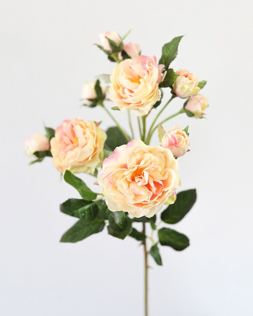 Blush Tea Rose Flowers 20" - 3