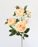Blush Tea Rose Flowers 20" - 3
