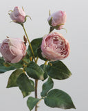 Mauve English Rose 23" - 2