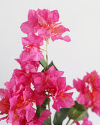 Fuchsia Bougainvillea Branch 44" - 3