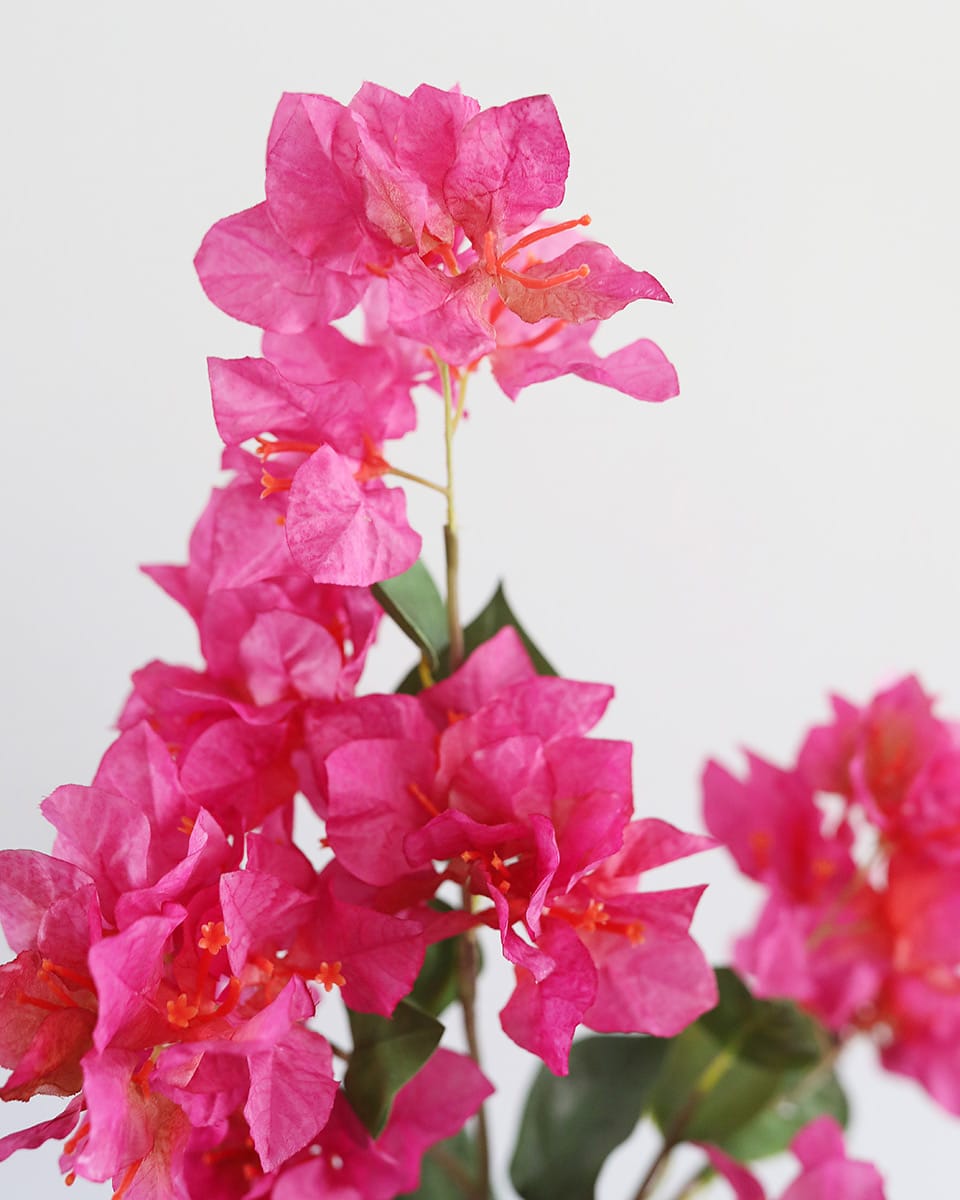 Fuchsia Bougainvillea Branch 44" - 3
