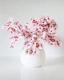 Pink Spotted Phalaenopsis Orchid 22” - 2