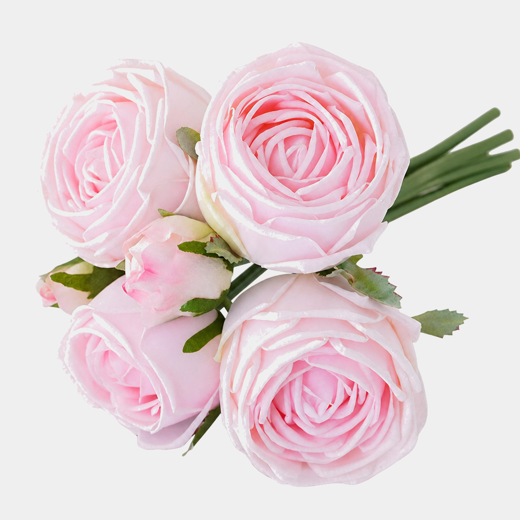 6 Cabbage Rose Bundle — text removed