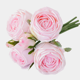 6 Cabbage Rose Bundle — text removed