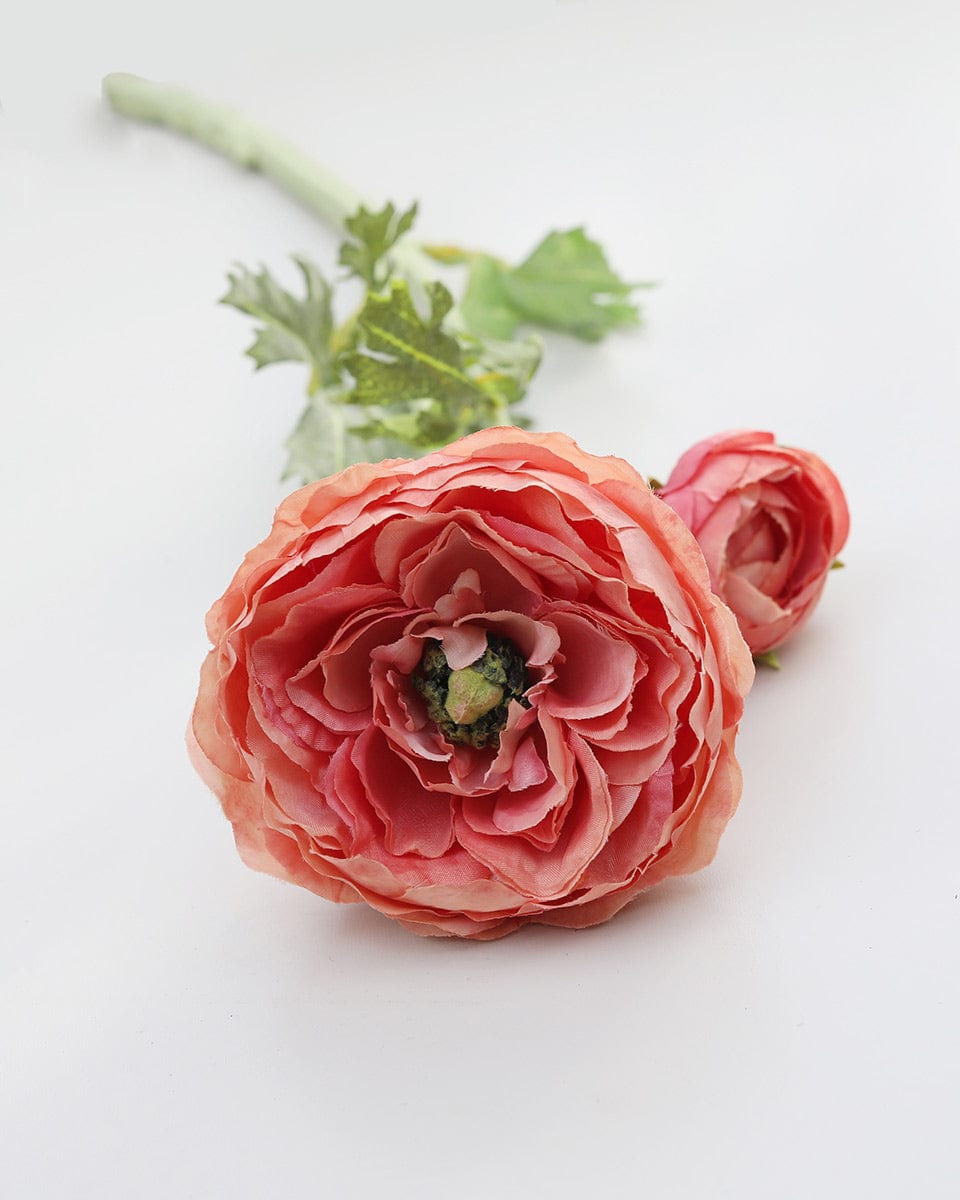 Salmon Pink Ranunculus 19.5" - 3