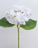 Small White Hydrangea 18" - 3
