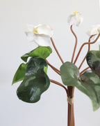 White Cyclamen Bouquet 14.5" - 3